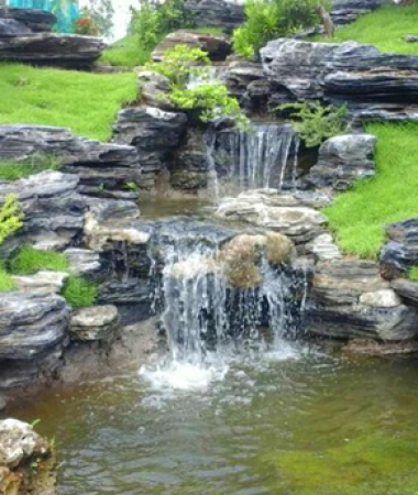 Đơn vị thi công hồ cá koi uy tín giá rẻ