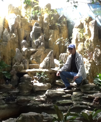 non bộ hồ cá đá cổ thạch 2